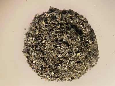 Renacer Materno